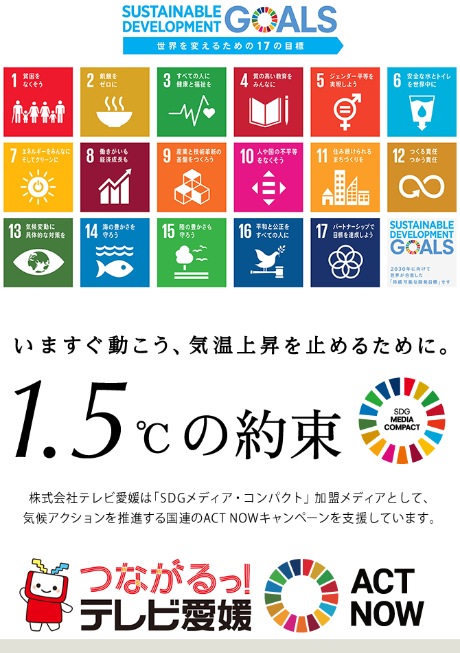 SDGs