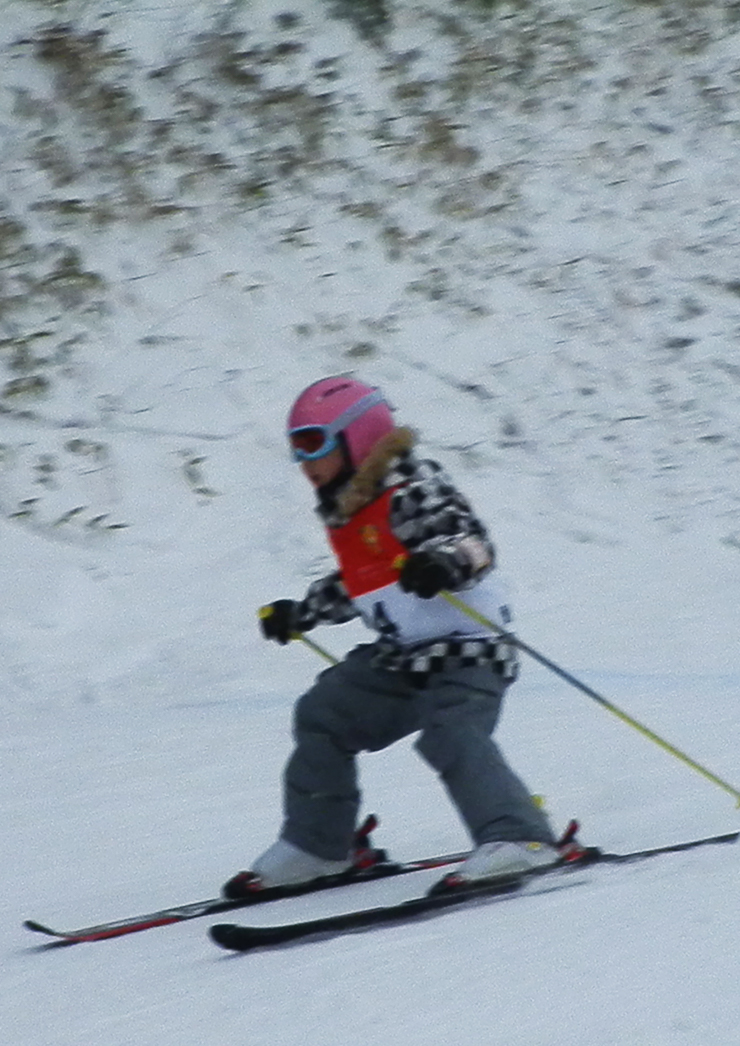 2026�e���r���Q�t�A���y���X�L�[�E�X�m�[�{�[�h<div>���Z���</div>