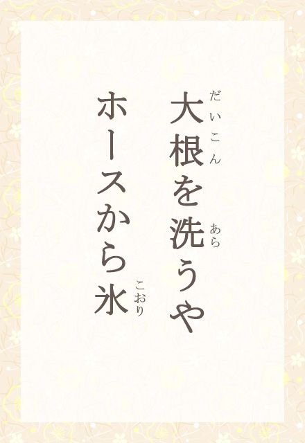 卪􂤂@z[XX