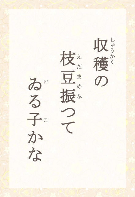 ń@}Uā@q