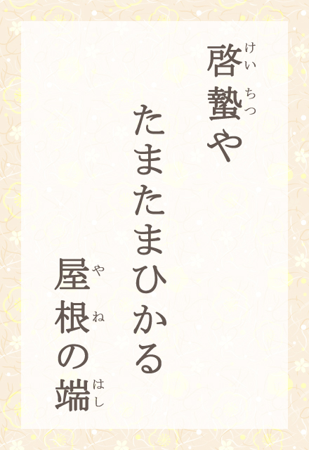 [孂@܂܂Ђ@̒[