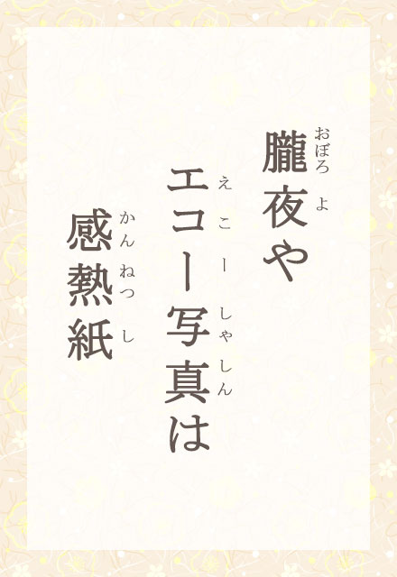 O@GR[ʐ^́@M