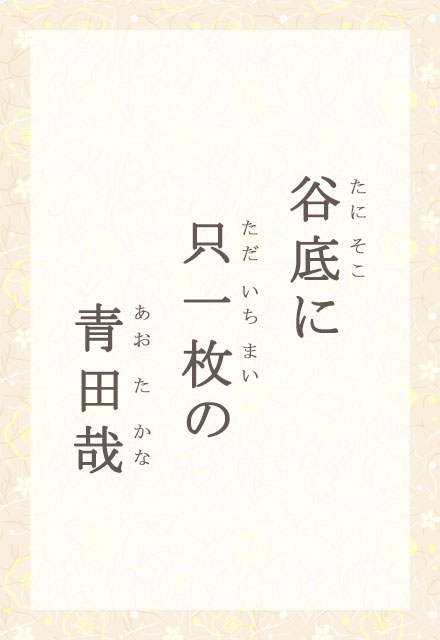 JɁ@ꖇ́@c