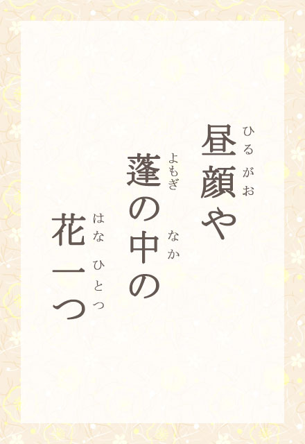 @H̒́@Ԉ