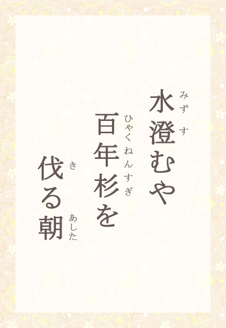 水澄むや 百年杉を 伐る朝