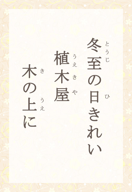 �~���̓����ꂢ�@�A�؉��@�؂̏��