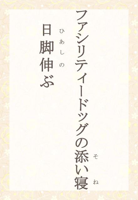 �t�@�V���e�B�[�h�b�O�̓Y���Q�@���r�L��