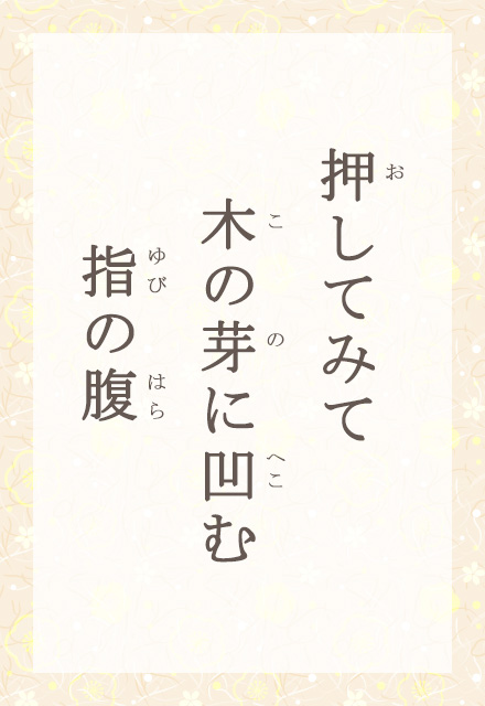 �����Ă݂ā@�؂̉�ɉ��ށ@�w�̕�