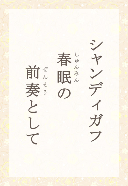 �V�����f�B�K�t�@�t���́@�O�t�Ƃ���