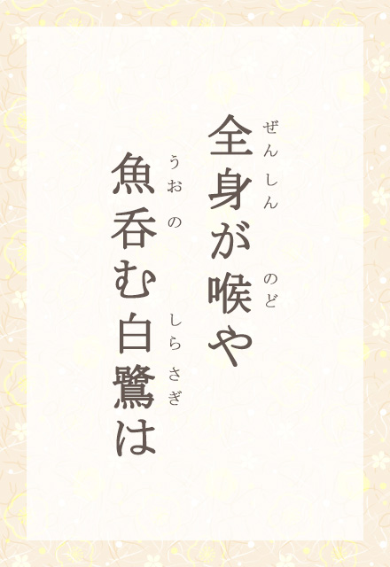 �S�g���A��@���ۂޔ����