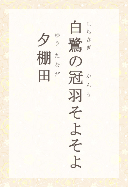 ����̊��H���悻��@�[�I�c