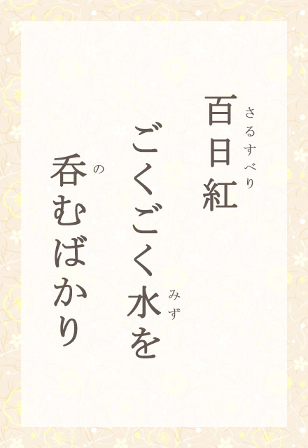 �S���g�@�������������@�ۂނ΂���