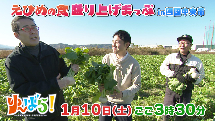 ��`�΂�I0110