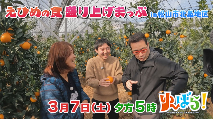 ��`�΂�I0307