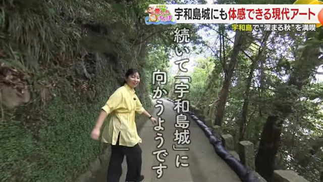 yPہzFaŁh[܂Hh𖞋iI