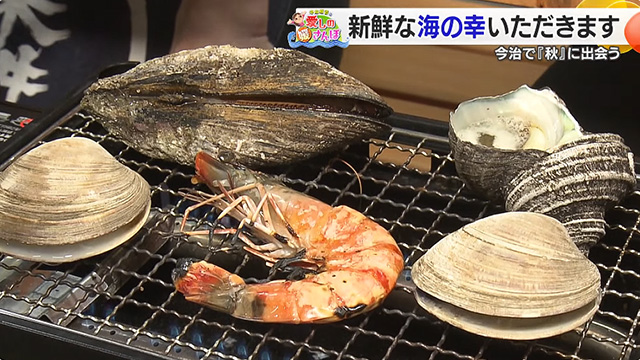 yQہzgt̍sŏH̏oT܂I