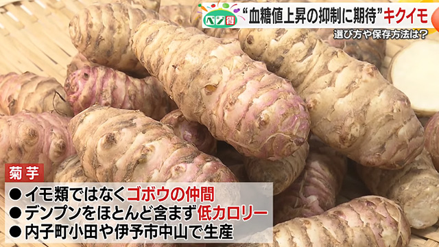 yxWzh{̍ANu̖؂ƂĒڂ...