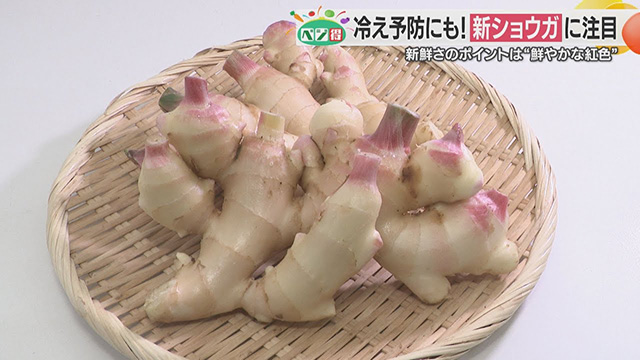 yxWzƉu̓Abv₦̉P҂łVE...