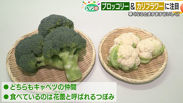 �y�x�W���z�u���b�R���[�ƃJ���t�����[�̈Ⴂ