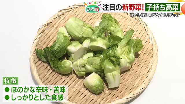 �y�x�W���z�ڂ݂̂悤�Ȍ`�������u�q�������؁v