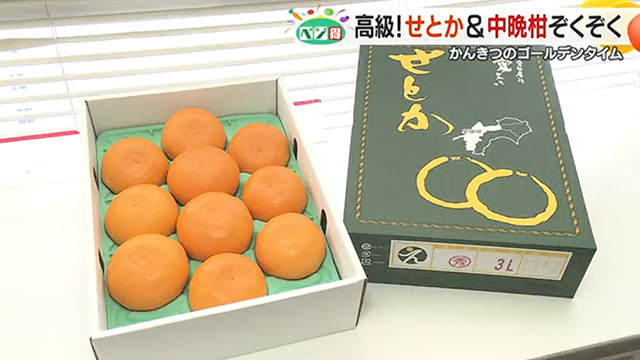 �y�x�W���z���k�����E���Q�ō��N���{���}�����u���Ƃ��v