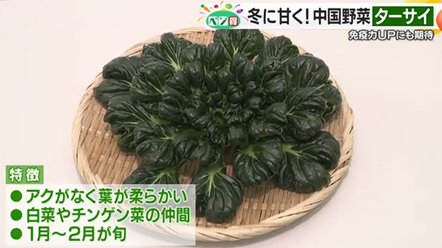 �y�x�W���z���������Y�̗t����؁u�^�[�T�C�v