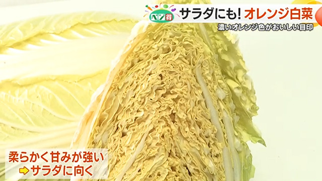 �y�x�W���z���t���I�����W���������F�����́u�I�����W����...