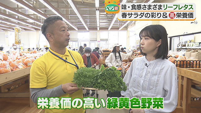 �y�x�W���z�t���{�́u���[�t���^�X�v