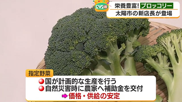 �y�x�W���z�h�{�L�x�I�u���b�R���[