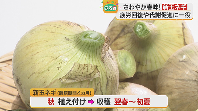 �y�x�W���z�t�ɏ{���}����u�V�ʃl�M�v