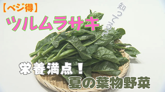 �y�x�W���z�c�������T�L