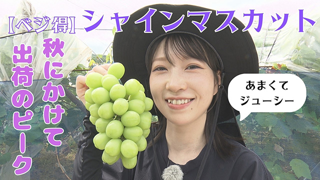 �y�x�W���z�u�h�E