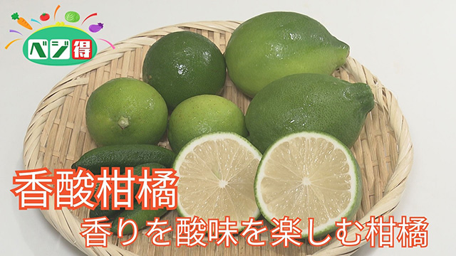 �y�x�W���z���_���k