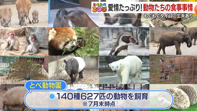 yƂׂƂZOOzH~̏HI̐H̗ɖ...