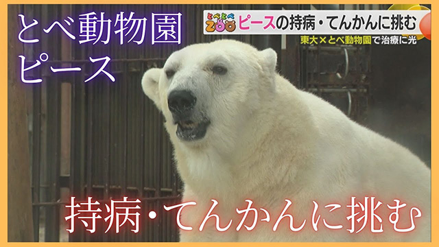 yƂׂƂZOOz~ƂדŎÂɌ@s[X...