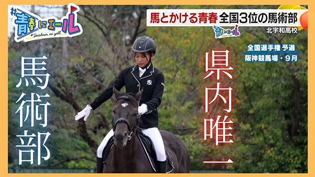 yB̕z ɌĐlńIkFaZn...