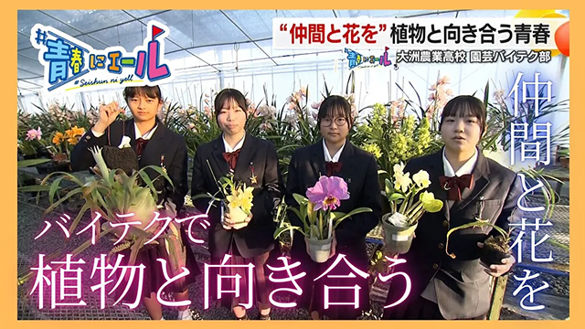 �y�t�ɃG�[���z��F�_�ƍ��Z�u���|�o�C�e�N���v�̒���I