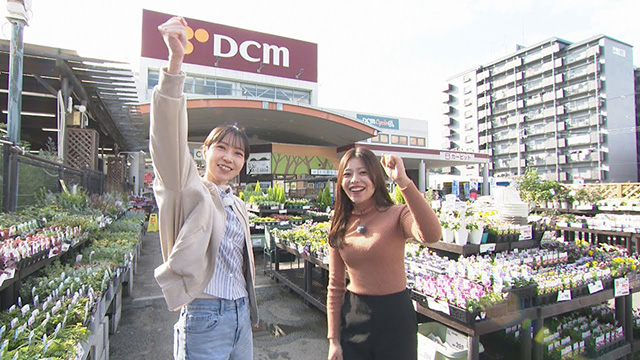 �y��`�΂�I�z�N���E��|���̎�Ԃ��y����!�I�X�X�����|...