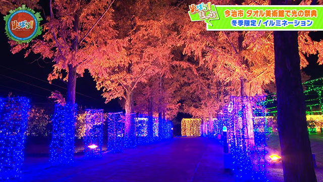 �y��`�΂�I�z�u�X�k�[�s�[�����킹�ނ��W�v�C���~�l�[...