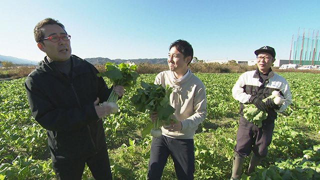 �y��`�΂�I�z�l�������s�́g�J�u�h �n�ꂽ�Ă��K�u���I