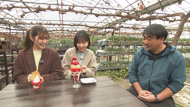 �y��`�΂�I�z�����{�I���������O���������Win����