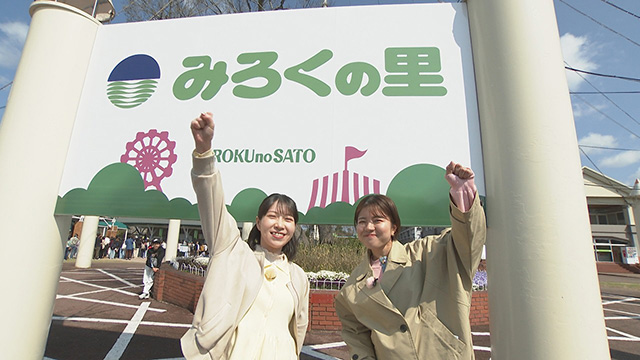 �y��`�΂�I�z�S�[���f���E�B�[�N�ɂ������߁I�݂낭�̗�...